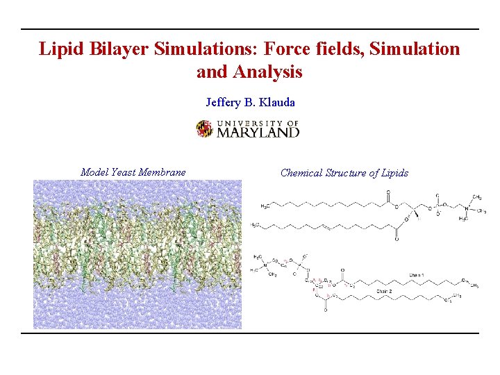 Lipid Bilayer Simulations: Force fields, Simulation and Analysis Jeffery B. Klauda Model Yeast Membrane