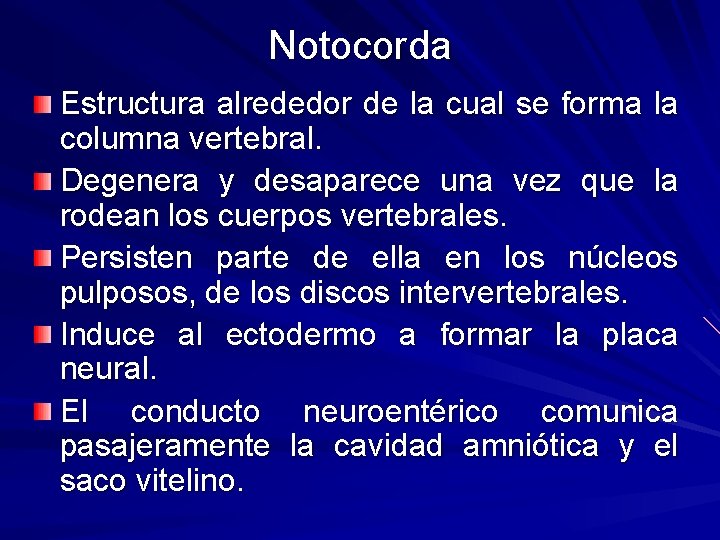 Notocorda Estructura alrededor de la cual se forma la columna vertebral. Degenera y desaparece