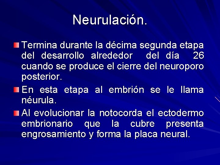 Neurulación. Termina durante la décima segunda etapa del desarrollo alrededor del día 26 cuando