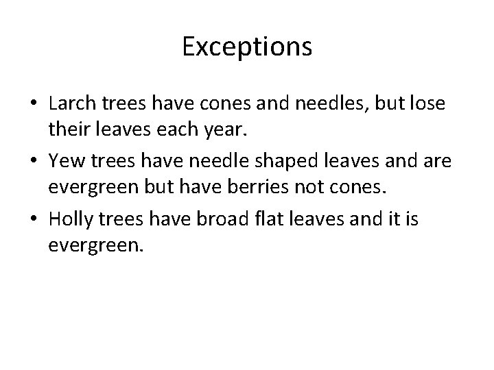 Exceptions • Larch trees have cones and needles, but lose their leaves each year.