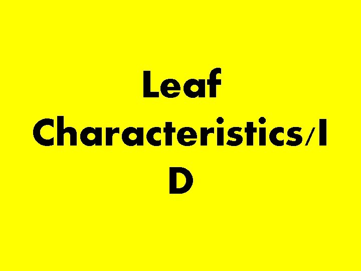 Leaf Characteristics/I D 