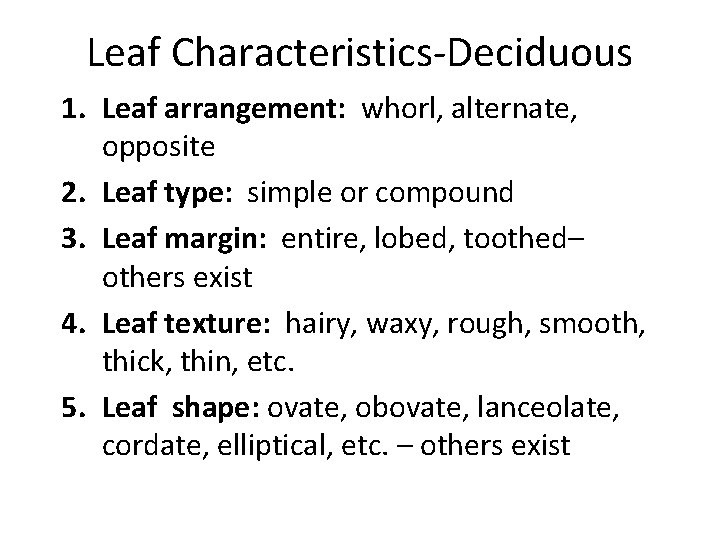 Leaf Characteristics-Deciduous 1. Leaf arrangement: whorl, alternate, opposite 2. Leaf type: simple or compound