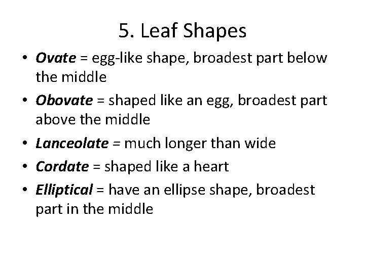 5. Leaf Shapes • Ovate = egg-like shape, broadest part below the middle •