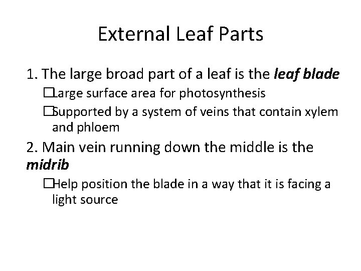 External Leaf Parts 1. The large broad part of a leaf is the leaf