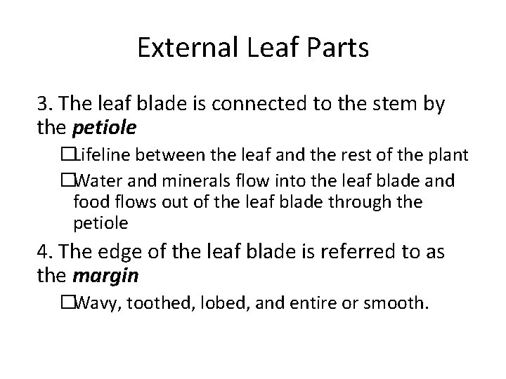 External Leaf Parts 3. The leaf blade is connected to the stem by the