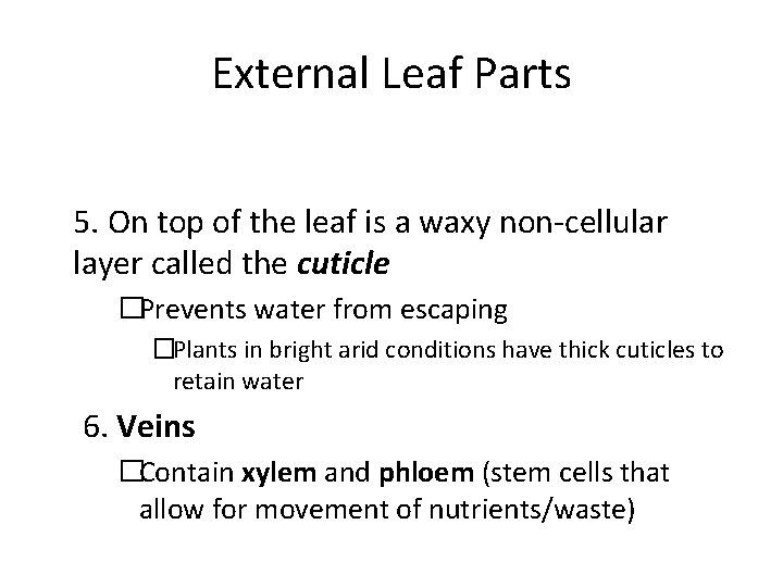 External Leaf Parts 5. On top of the leaf is a waxy non-cellular layer