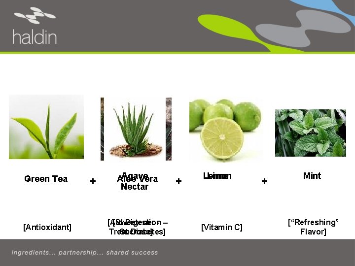 Haldin’s Antioxidant Firefly Green Drink Tea New Mint Concept Ingredients Idea Green Tea [Antioxidant]