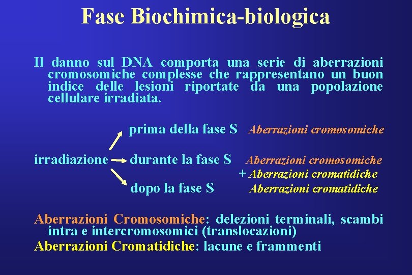 Fase Biochimica-biologica Il danno sul DNA comporta una serie di aberrazioni cromosomiche complesse che