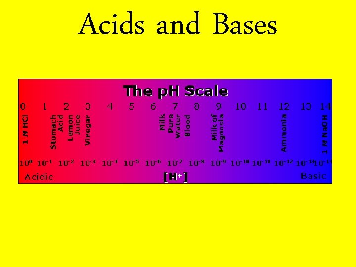 Acids and Bases 