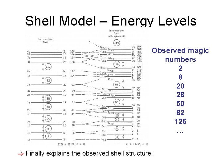 Shell Model – Energy Levels Observed magic numbers 2 8 20 28 50 82