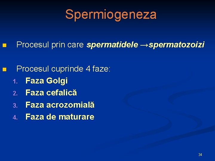 Spermiogeneza n n Procesul prin care spermatidele →spermatozoizi Procesul cuprinde 4 faze: 1. Faza