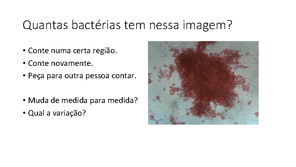 Quantas bactérias tem nessa imagem? • Conte numa certa região. • Conte novamente. •