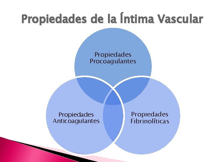 Propiedades de la Íntima Vascular Propiedades Procoagulantes Propiedades Anticoagulantes Propiedades Fibrinolíticas 