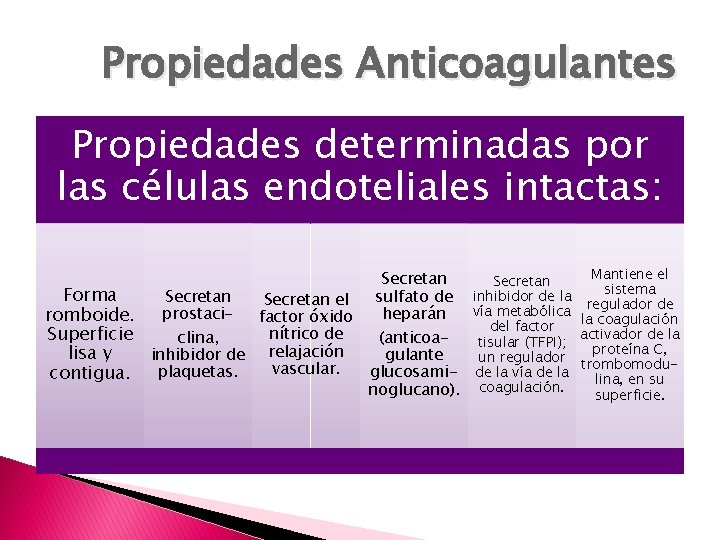 Propiedades Anticoagulantes Propiedades determinadas por las células endoteliales intactas: Secretan Forma Secretan sulfato de