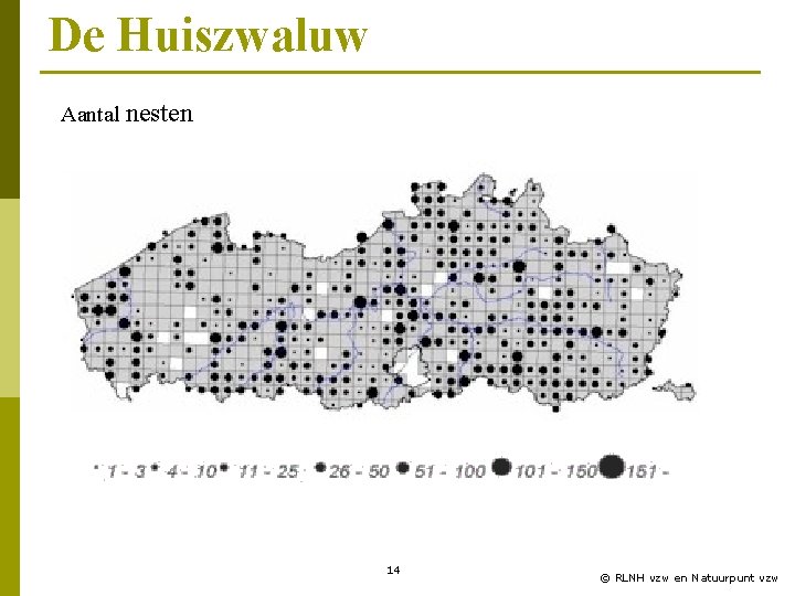 De Huiszwaluw Aantal nesten 14 © RLNH vzw en Natuurpunt vzw 