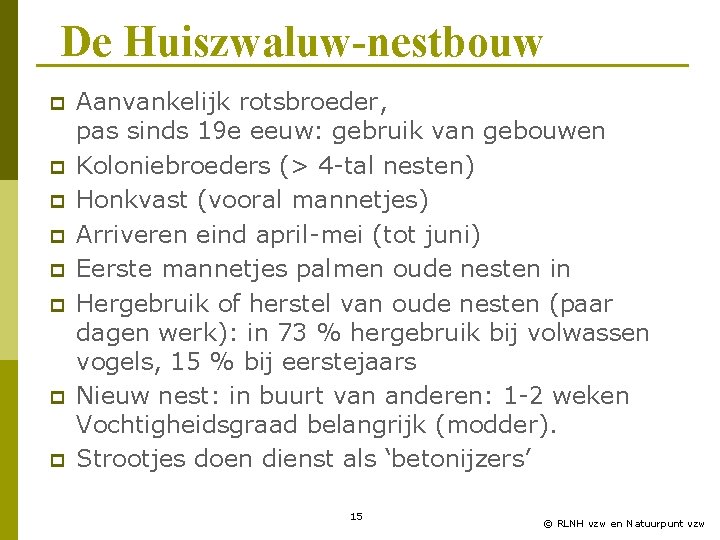 De Huiszwaluw-nestbouw p p p p Aanvankelijk rotsbroeder, pas sinds 19 e eeuw: gebruik