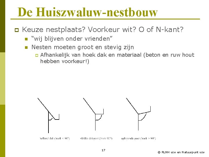 De Huiszwaluw-nestbouw p Keuze nestplaats? Voorkeur wit? O of N-kant? n n “wij blijven