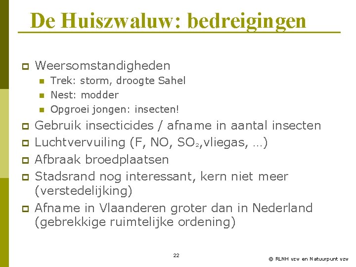 De Huiszwaluw: bedreigingen p Weersomstandigheden n p p p Trek: storm, droogte Sahel Nest: