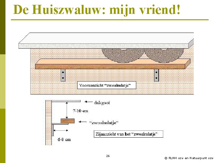 De Huiszwaluw: mijn vriend! 26 © RLNH vzw en Natuurpunt vzw 