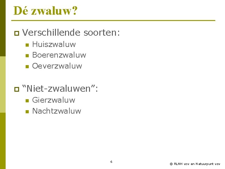 Dé zwaluw? p Verschillende soorten: n n n p Huiszwaluw Boerenzwaluw Oeverzwaluw “Niet-zwaluwen”: n