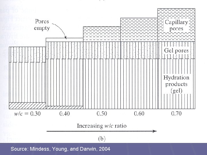 Source: Mindess, Young, and Darwin, 2004 