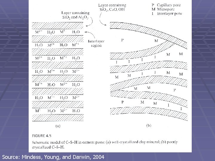 Source: Mindess, Young, and Darwin, 2004 
