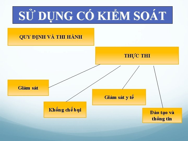 SỬ DỤNG CÓ KIỂM SOÁT QUY ĐỊNH VÀ THI HÀNH THỰC THI Giám sát