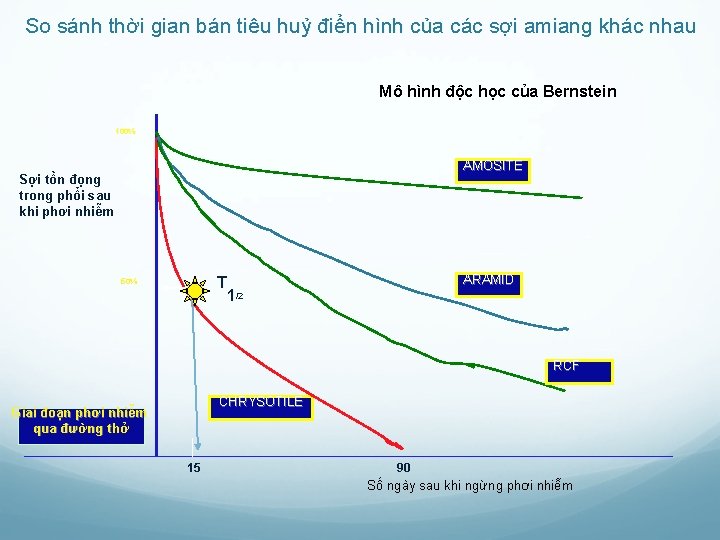 So sánh thời gian bán tiêu huỷ điển hình của các sợi amiang khác