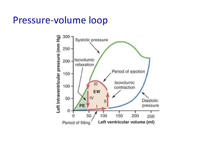 Pressure-volume loop 