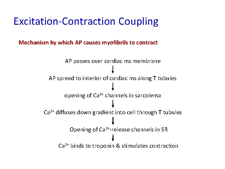 Excitation-Contraction Coupling Mechanism by which AP causes myofibrils to contract AP passes over cardiac