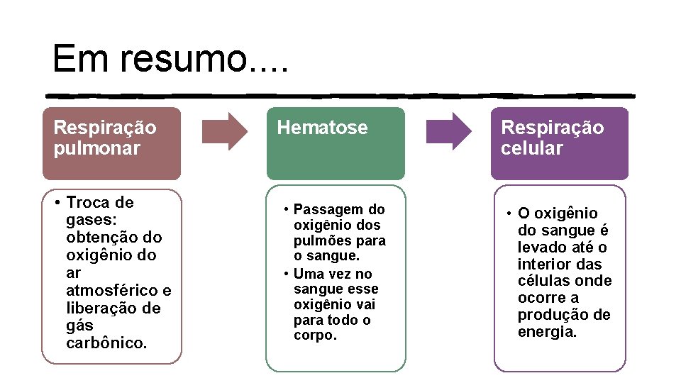 Em resumo. . Respiração pulmonar • Troca de gases: obtenção do oxigênio do ar