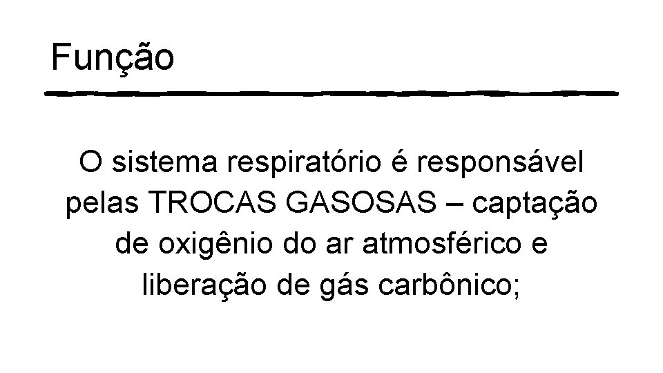 Função O sistema respiratório é responsável pelas TROCAS GASOSAS – captação de oxigênio do