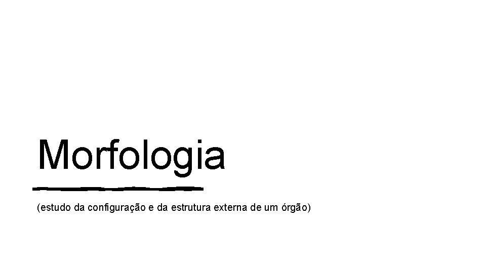 Morfologia (estudo da configuração e da estrutura externa de um órgão) 