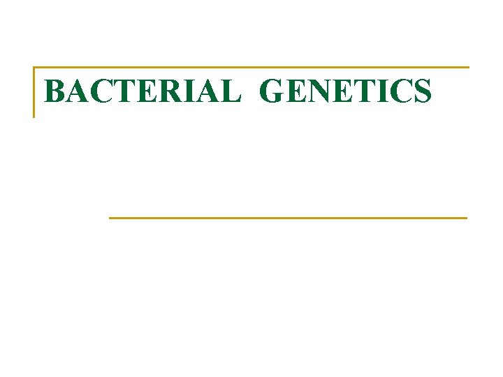 BACTERIAL GENETICS 