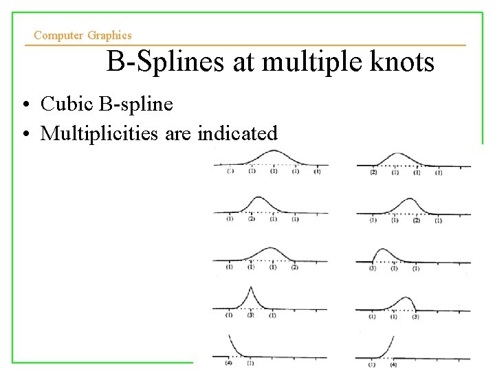 Computer Graphics B-Splines at multiple knots • Cubic B-spline • Multiplicities are indicated 