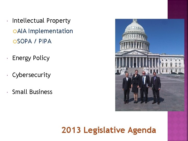  Intellectual Property AIA Implementation SOPA / PIPA Energy Policy Cybersecurity Small Business 2013