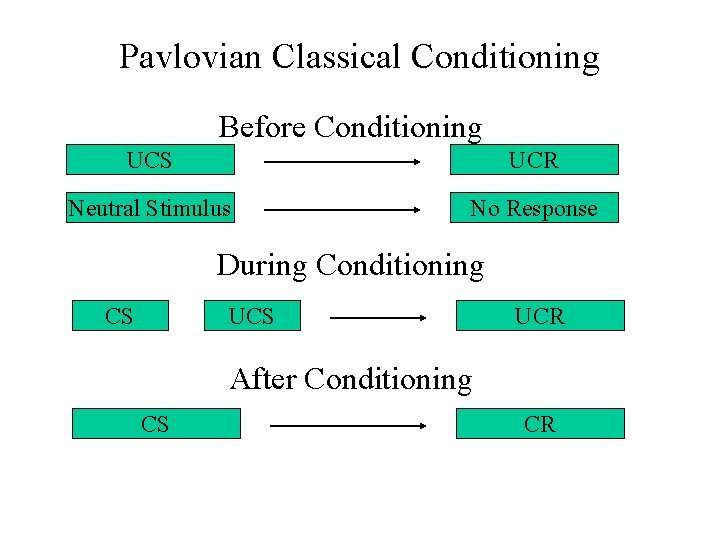 Pavlovian Classical Conditioning Before Conditioning UCS UCR Neutral Stimulus No Response During Conditioning CS