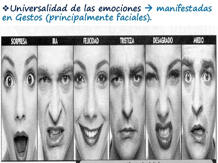 v. Universalidad de las emociones manifestadas en Gestos (principalmente faciales). 