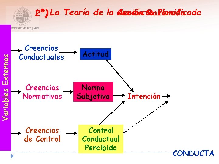 Variables Externas Planificada 1º) Acción Razonada 2º) La Teoría de la Conducta Creencias Conductuales