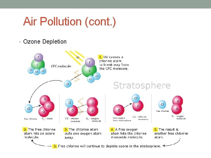 Air Pollution (cont. ) • Ozone Depletion 