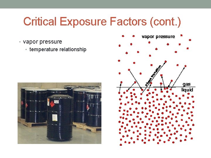 Critical Exposure Factors (cont. ) • vapor pressure • temperature relationship 