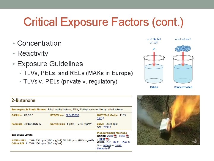Critical Exposure Factors (cont. ) • Concentration • Reactivity • Exposure Guidelines • TLVs,