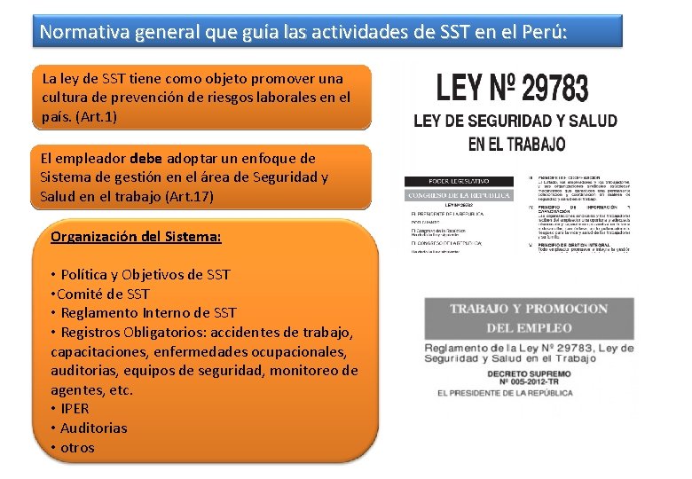 Normativa general que guía las actividades de SST en el Perú: La ley de