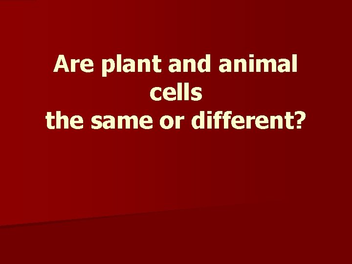 Are plant and animal cells the same or different? 