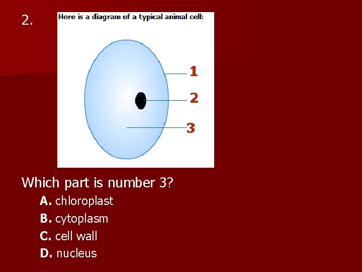2. Which part is number 3? A. chloroplast B. cytoplasm C. cell wall D.