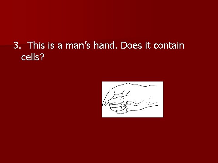 3. This is a man’s hand. Does it contain cells? 