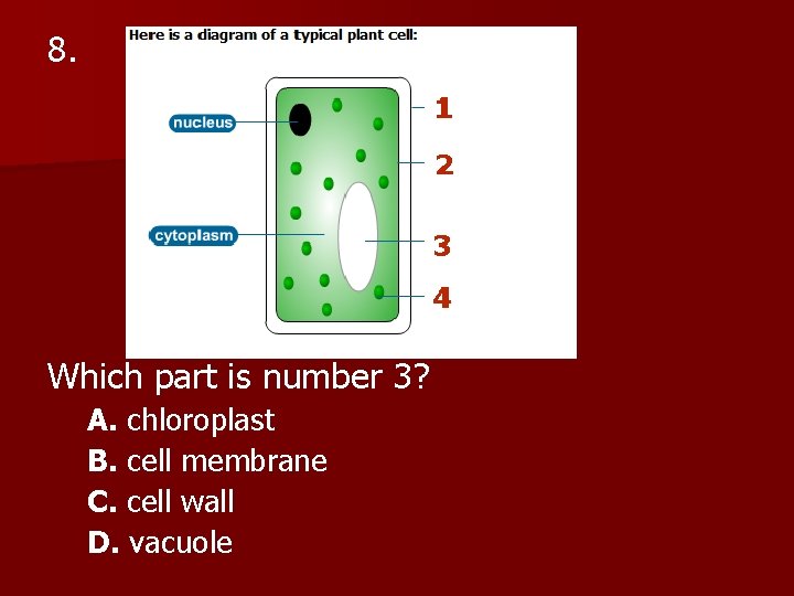 8. Which part is number 3? A. chloroplast B. cell membrane C. cell wall