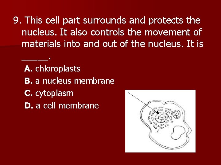 9. This cell part surrounds and protects the nucleus. It also controls the movement