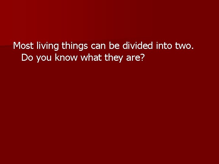 Most living things can be divided into two. Do you know what they are?