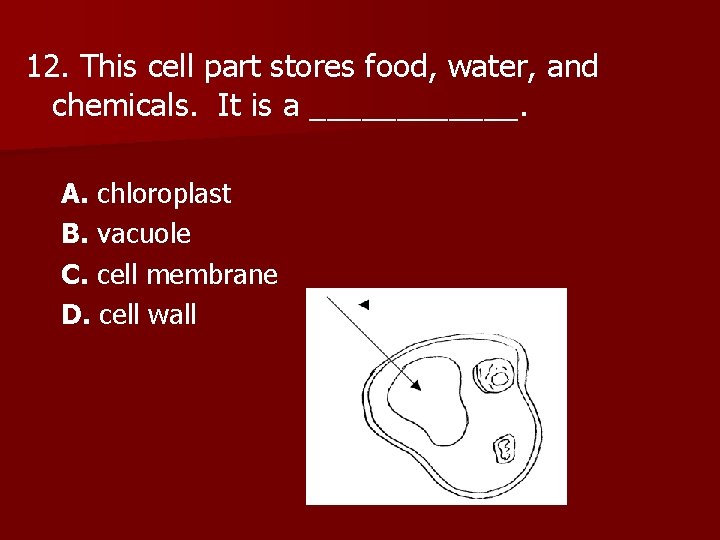 12. This cell part stores food, water, and chemicals. It is a ______. A.